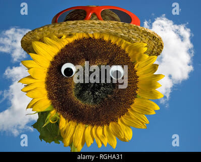 Gelbe Sonnenblumen mit Strohhut und rote Sonnenbrille auf Sommer Himmel Hintergrund Stockfoto