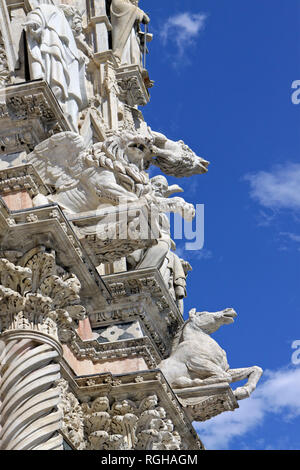 Details an der Dom von Siena, die Kathedrale Santa Maria Assunta, Altstadt, Siena, Toskana, Italien, Europa Stockfoto