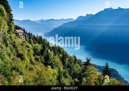 Schweiz, Kanton Bern, Berner Alpen, Interlaken, Brienzersee, Blick vom Harder Kulm Stockfoto