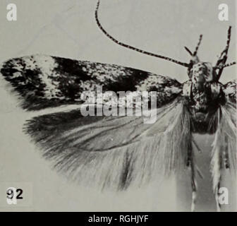 . Bulletin des British Museum (Natural History) Entomologie. . Bitte beachten Sie, dass diese Bilder sind von der gescannten Seite Bilder, die digital für die Lesbarkeit verbessert haben mögen - Färbung und Aussehen dieser Abbildungen können nicht perfekt dem Original ähneln. extrahiert. British Museum (Natural History). London: BM (NH) Stockfoto