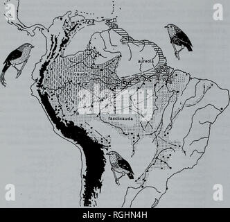 . Bulletin der British Ornithologists' Club. Jürgen Haffer 12 Bull. B.O.C. 2003 123 A. Abb. 2. Verteilung der manakins der Pipra aureola superspecies (Männer dargestellt; Gefieder Farbe ist Gelb, Rot, Orange und Schwarz). Lokalität Datensätze (Symbole) beziehen sich auf die folgenden Arten: Crimson - hooded Manakin (S. Aureola, offene Kreise und horizontale Schraffur), Band-tailed Manakin (Pfasciicauda, feste Kreise und Tamponieren) und Kabel-tailed Manakin (S. filicauda, feste Dreiecke und vertikale Striche). Proben in das Museu Paraense E. Goeldi, Belem, Para). Nördlich von Sobral vermutlich nur S. filic Stockfoto