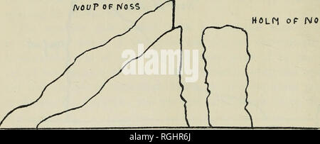 . Bulletin der British Ornithologists' Club. Vol.wfl.] 60 Mehr black-backed Möwen {Lams marinus), Dreizehenmöwen Rissa tridactyla {t,), Northern Trottellummen Uria aalge {a.), Schwarz Trottellummen (Uria g. Grylle), Fratercula arctica Papageientaucher {grabce) die Verschachtelung, oder eher verschachtelt, in einer riesigen Zahlen und hatte noch nicht verlassen. Es gab auch Sturmvögel Eissturmvogel (Fulmarus glacialis g.), und ein paar Storm-Petrels {Hydro-bates pelagicus) gibt es zum Nest auch gesagt. Wanderfalken nisten auf der Klippe verwendet, haben aber nicht so seit einigen Jahren getan. Auf dem Grasbewachsenen oben auf dem Holm der Noss, ein Stapel von Ro Stockfoto