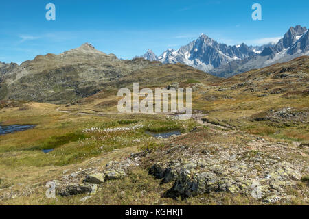 Ein Weg schlängelt sich durch Moos und Gras bedeckte Bergrücken mit weiten Blick auf die zerklüfteten Gipfel und Gletscher des Mont Blanc Massivs, Chamonix, Frankreich Stockfoto