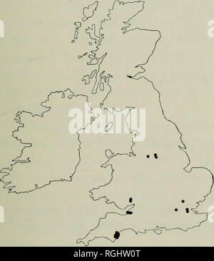. Bulletin des British Museum (Natural History), Geologie. Der britischen Inseln 119 Bleadon Höhle, Somerset (10): BM (NH). Höhle von Brixham, Devon (4): BM (NH). Chudleigh Riss, Devon (7): BM (NH). Große Doward Höhle, Herefordshire (17): BM (NH). Ightham Fissuren, Kent (28): Newton 1894, Hinton 1910 a, b, Barrett-Hamilton&amp; Hinton Hinton 1910-21, 1924, 1926 b, 1952, Zimmermann 1959, 1972 Chaline, BM (NH). Isleworth, Middlesex (26): BM (NH). Kent's Cavern^ Devon (6): Kennard 1945-46, BM (NH). King Arthur's Cave, Herefordshire (17): BM (NH). Langwith Höhle, Derbyshire (72), Mullins: Hinton 1924 1913 Stockfoto