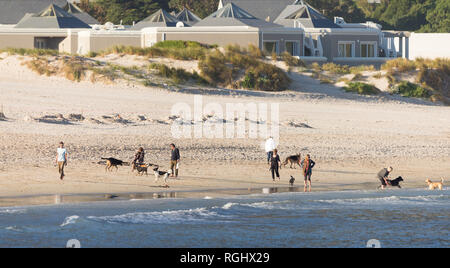 Strand Kinderwagen und Hund Spaziergänger auf Hout Bay Strand an einem sonnigen Herbst am späten Nachmittag in Kapstadt, Südafrika Stockfoto