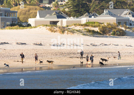 Strand Kinderwagen und Hund Spaziergänger auf Hout Bay Strand an einem sonnigen Herbst am späten Nachmittag in Kapstadt, Südafrika Stockfoto