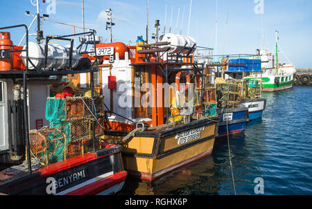 Hummer oder Langusten Töpfe von der industriellen Fischerei Boote aufgereiht in einer Reihe und günstig oder gebunden in Kalk Bay Harbour, Kapstadt, Südafrika Stockfoto