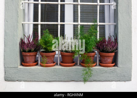 Reihe von Blumen in roten Töpfen auf rustikalen Fenster. Traditionelles Haus Konzept Stockfoto