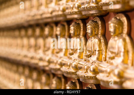 Wand im Tempel durch tausend kleine goldene Buddha Statue an chinesischen Tempel namens Wat Borom Raja Kanjanapisek (Wat Leng Neur Yee 2) in Thailan Stockfoto