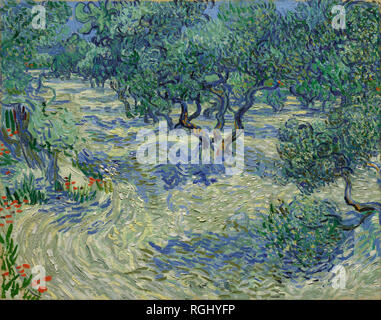 Van Gogh Gemälde - Olivenbäume Stockfoto