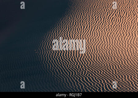 USA, Californien, Death Valley, Death Valley National Park, Mesquite flachen Sand Dünen, full frame Stockfoto