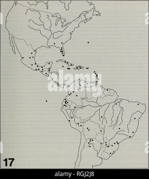 Costa Rica, Mato Grosso do Sul, Brasilien - 12 18 2022: Glocken der