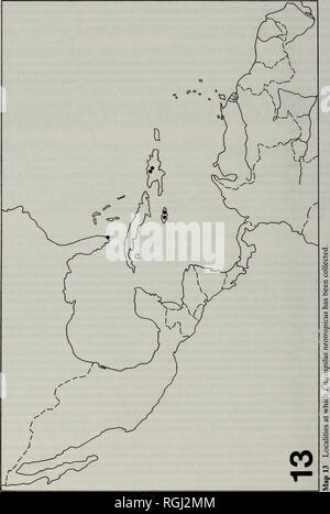 . Bulletin des British Museum (Natural History) Entomologie. 174 IAN D. GAULD. Bitte beachten Sie, dass diese Bilder sind von der gescannten Seite Bilder, die digital für die Lesbarkeit verbessert haben mögen - Färbung und Aussehen dieser Abbildungen können nicht perfekt dem Original ähneln. extrahiert. British Museum (Natural History). London: BM (NH) Stockfoto