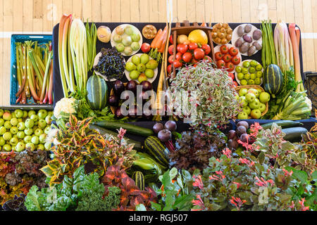 Große Auswahl an frischen hausgemachten Produkten (Obst, Gemüse und Pflanzen) an Gärtner zeigen, Burley-in-Wharfedale, West Yorkshire, England, UK angezeigt. Stockfoto