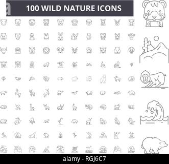 Wilde Natur bearbeitbare Zeile Icons, 100 Vector eingestellt, Sammlung. Wilde Natur schwarzer Umriss Abbildungen, Zeichen, Symbole Stock Vektor