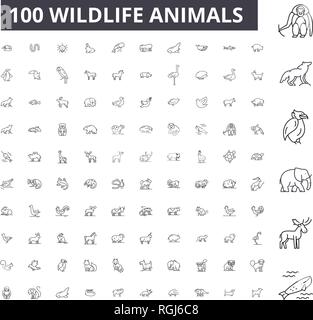 Wildtiere bearbeitbare Zeile Icons, 100 Vector eingestellt, Sammlung. Wildtiere, schwarzer Outline Abbildungen, Zeichen, Symbole Stock Vektor