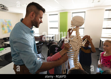 Seitenansicht der männlichen Lehrer erklärt Skelett Modell im Klassenzimmer der Volksschule Stockfoto
