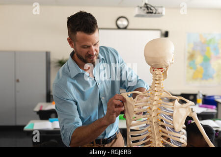 Männliche Lehrer zur Festsetzung Skelett Modell im Klassenzimmer Stockfoto