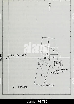 . Bulletin des British Museum (Natural History), Geologie. Bartonium Säugetiere von Hampshire Becken 209 SY 9125. Text-Bild 4 Karte der letzten Creechbarrow exca - Innovationen. Ort und Höhe der trigonometrischen Punkt auf dem Gipfel des Hügels wird angezeigt. Ausgrabung Löcher 1 bis 7 nummeriert. Die Position der Hand - entkernt Bohrloch in der Bohrung 5 wird angezeigt. Iso-pachytes des Creechbarrow Kalkstein Formation sind gegeben. Text - Abbildung 5 stratigraphische Spalte der Schichten in der jüngsten Creechbarrow excava ausgesetzt. Für die Schlüssel zur Lithologischen Symbole der feste Ablagerungen, siehe Text-Abb. 2, S. 201. Für die Beschreibung von Supe Stockfoto