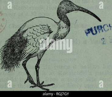 . Bulletin der British Ornithologists' Club. . Von Dr. JEFFERY HARRISON Band 79 Nr. 6 September 1959 bearbeitet werden. Bitte beachten Sie, dass diese Bilder sind von der gescannten Seite Bilder, die digital für die Lesbarkeit verbessert haben mögen - Färbung und Aussehen dieser Abbildungen können nicht perfekt dem Original ähneln. extrahiert. Taylor, Nancy M. Oxford: Clarendon Press Stockfoto