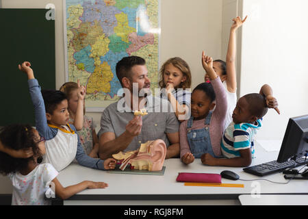 Vorderansicht des Neugierig schoolkids heben die Hände um Lehrer Lehre Anatomie am Schreibtisch im Klassenzimmer der Volksschule Stockfoto