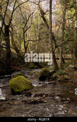 Eine hölzerne Brücke über den kalten fließenden Bach von Lithia Park in Ashland, Oregon, durch den Winter Wald umgeben, im fahlen Morgenlicht. Stockfoto