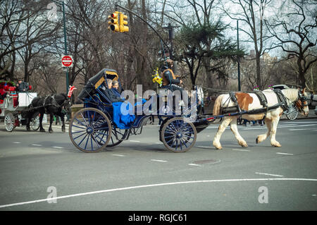 Pferd - Kutschen am Central Park South in New York am Sonntag, 27. Januar 2019 erstellt. (© Ricard B. Levine) Stockfoto