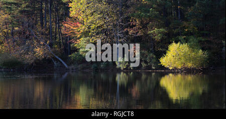 Blick über den See auf die gegenüberliegende Küste mit Reflexionen im Wasser. Stockfoto