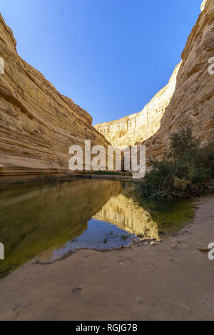 Aussicht auf den Canyon von Ein avdat Nationalpark, der Wüste Negev im Süden Israels Stockfoto