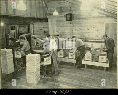 . Bulletin - Massachusetts landwirtschaftliche Experiment Station. Landwirtschaft - - Massachusetts. Abb. 38. Hand-Sorting Preiselbeeren auf bewegten Riemen. Grüne oder weißliche Beeren und Beeren mit Frost Verletzungen oder Zerfall sind abgeholt.. Abb. 39. Verpackung Cranberries in Versandkartons. Inspektor auf der rechten Seite.. Bitte beachten Sie, dass diese Bilder sind von der gescannten Seite Bilder, die digital für die Lesbarkeit verbessert haben mögen - Färbung und Aussehen dieser Abbildungen können nicht perfekt dem Original ähneln. extrahiert. Massachusetts landwirtschaftliche Experiment Station. Amherst, Massachusetts: Landwirtschaftliche Stockfoto