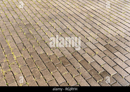 Nassen Beton Pflaster mit grünem Gras. Textur oder Hintergrund Stockfoto