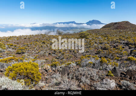 Reunion, Nationalpark, Piton de la Fournaise, Route du Volcan, Plaine Des Remparts und Piton des Neiges Stockfoto