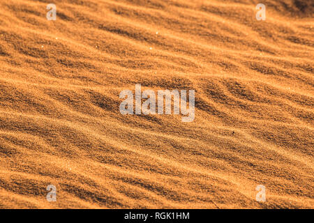 USA, Californien, Death Valley, Death Valley National Park, Mesquite flachen Sand Dünen, full frame Stockfoto