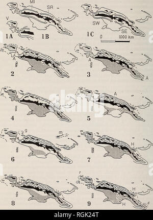 . Bulletin der British Ornithologists' Club. Vögel. Jürgen Haffer Bull. B.O.C. 2003 123 A. Abb. 4. Verteilung der ausgewählten Arten und Unterarten von Vögeln bewohnen die Regenwälder der Tiefländer und unteren montane Ebenen in Neuguinea, nach Stresemann (1936) und Pratt (1982). Mit zusätzlichen Daten. (Die Legende auf Seite 17). Bitte beachten Sie, dass diese Bilder sind von der gescannten Seite Bilder, die digital für die Lesbarkeit verbessert haben mögen - Färbung und Aussehen dieser Abbildungen können nicht perfekt dem Original ähneln. extrahiert. British Ornithologists' Club. London: Die C Stockfoto