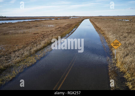 USA, Maryland, Cambridge, Flut, Überschwemmungen durch den Anstieg des Meeresspiegels bei Blackwater National Wildlife Refuge Stockfoto