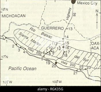 . Bulletin der British Ornithologists' Club. Vögel. 5. An. G. Howell & Amp; S. Webb 233 Bull. B.O.C. 1994 114 (4) r Mexico City 1 STN MICHOACAN. Pazifik 10?W Abbildung 1. Der Zustand von Guerrero, Mexiko, zeigt die Orte, zum in den Arten Konten erwähnt. 1, Petacalco; 2, Zihuatanejo; 3, Barra de Potosi; 4, Petatlan; 5, 6, Rio Atoyac; Santiago, 7, San Vicente de Benitez; 8, Paraiso, 9, Arroyo Grande; 10, Nueva Delhi; 11, Filo de Caballo; 12, 13; Omiltemi, Laguna de Tuxpan 14, Mexcala; 15, Zumpango del Rio; 16, Chilpancingo; 17, 18; Acahuizotla, Agua de Obispo; 19, Laguna Mitla; 20, Acapulco; Stockfoto