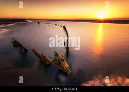 Großbritannien, Schottland, East Lothian, Aberlady Nature Reserve, Schiffbruch bei Sonnenuntergang Stockfoto