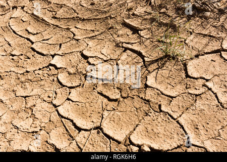 USA, Arizona, Buckskin Gulch, trockene Rissige Erde Stockfoto