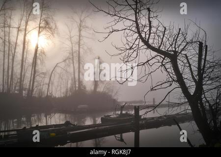 Finn Slough Nebel, British Columbia. Foggy Finn Slough am Ufer des Fraser River in der Nähe von Steveston in Richmond, British Columbia, Kanada. Stockfoto