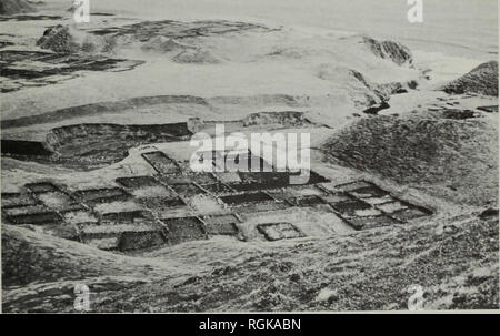 . Bulletin des British Museum (Natural History) Botanik. 339 Abb. 5 Und David Hagen's Haus auf Tristan da Cunha, einer der ältesten auf der Insel. Hinweis Klumpen von Neuseeland Flachs, phormium Tenax. Innerhalb der Mauern gepflanzt als Wind - Pausen zu handeln. Oktober 1966. Foto: George Edwards.. Abb. 6 Die Kartoffel Patches gesehen von oben auf Hillpiece, Tristan da Cunha, und mit Blick auf die westliche Küste der Insel. Oktober 1966. Foto: George Edwards.. Bitte beachten Sie, dass diese Bilder aus gescannten Seite Bilder, die digital für die Lesbarkeit erhöht worden sein können extrahiert werden - Färbung Stockfoto