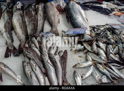 Fischgeschäft am Mercado da Ribeira Ribeira (Markt) in Lissabon, Portugal, Abschaltdruck Stockfoto