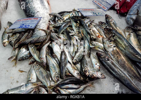 Fischgeschäft am Mercado da Ribeira Ribeira (Markt) in Lissabon, Portugal, Abschaltdruck Stockfoto