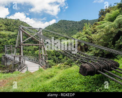 Tauranga Bridge, eine Harfe Suspension Bridge, Tauranga, Waioweka Schlucht, East Coast, Neuseeland Stockfoto