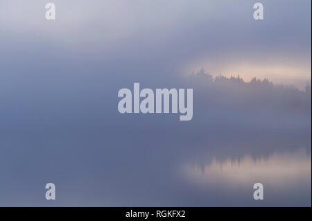 See Cassidy im Nebel mit schönen Sonnenaufgang und See Spiegelungen der Bäume. Stockfoto