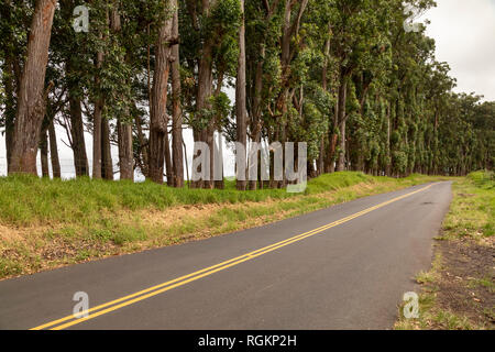 Waimea, Hawaii - Die alte Mamalahoa Landstraße zwischen Honokaa und Waimea. Stockfoto