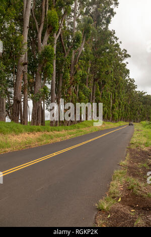 Waimea, Hawaii - Die alte Mamalahoa Landstraße zwischen Honokaa und Waimea. Stockfoto