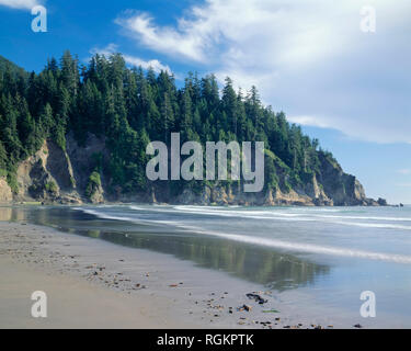 USA, Oregon, Oswald West State Park, Flut, kurze Sand Strand und Altstadt - Wachstum Sitka Fichte Wald auf Küsten Pisten. Stockfoto