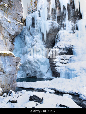 Blätter mit gefrorenem Wasser und Eiszapfen schaffen eine schöne und ruhige Winterlandschaft in der Johnston Canyon im Banff National Park, Alberta, Kanada. Stockfoto