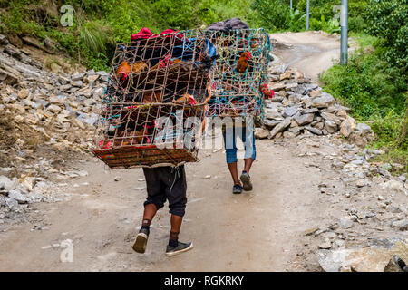 Zwei Träger Huhn in einem Käfig auf Imit zurück auf einer Straße in der oberen Marsyangdi Tal Stockfoto