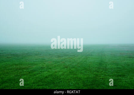 Grüne Gras im Morgennebel. Dichter Nebel über grüne Gras. USA, Michigan, Grand Haven Stockfoto